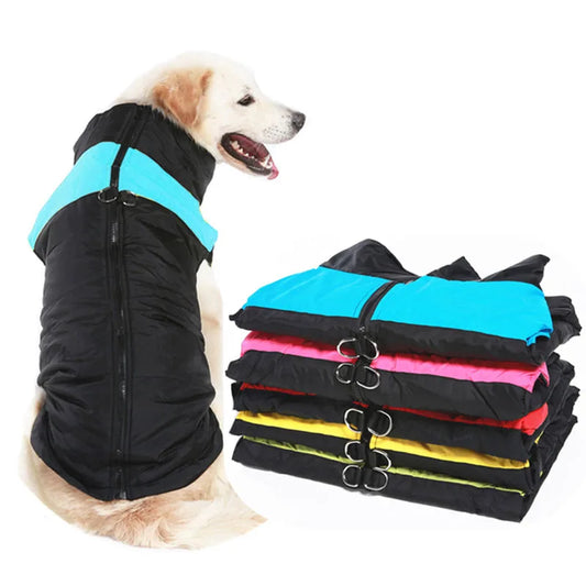 Warm clothing for winter days for your pet