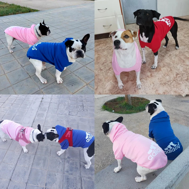 A stylish warm sweater for your pet